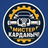 Telegram channel Мистер Карданыч! logo