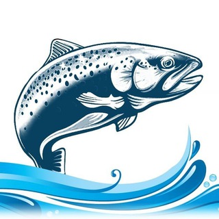 Логотип телеграм канала @kareliaforelka — Форель из Карелии