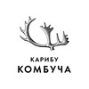 Логотип телеграм канала @karibu_kombucha — Karibu Kombucha