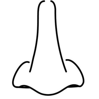 Логотип телеграм канала @karikaturanos — NOSE CARICATURE