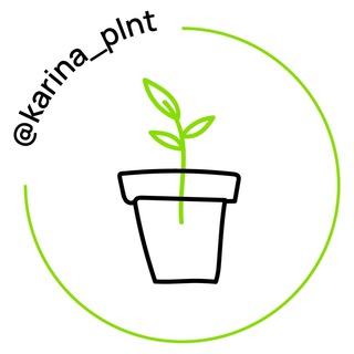 Логотип телеграм канала @karina_plnt — karina_plnt