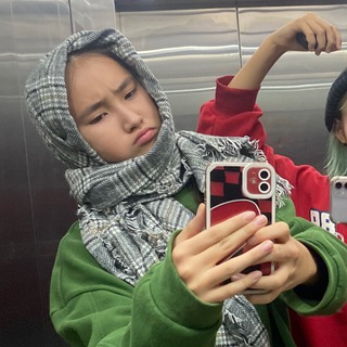 Логотип телеграм канала @karinawzzed — кариша намбанайн