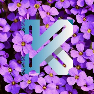 Telegram арнасының логотипі karinformuz — KarInform.uz