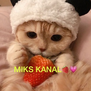 Логотип телеграм канала @karinkamiks — 𝐌𝐈𝐊𝐒 𝐊𝐀𝐍𝐀𝐋🍓💗