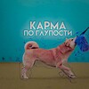 Логотип телеграм канала @karmikssss — Карма по глупости