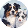 Логотип телеграм канала @kartohanachille — Стиль собачки🐕
