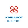 Логотип телеграм канала @kashalot_sharing — Кашалот Шеринг