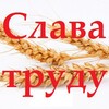 Логотип телеграм канала @kashary_slava_trudu — Новости Кашарского района