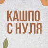 Логотип телеграм канала @kashposnulya — Кашпо с нуля