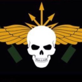 Telegram channel NerV⚡️⚡️⚡️ logo