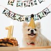 Логотип телеграм канала @kasperskidog — По следам пушистых лапок🐾