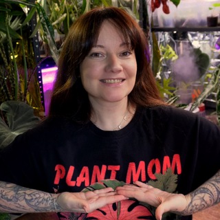 Логотип телеграм канала @kati_plants — 🌿 Kati_plants комнатные растения СПб