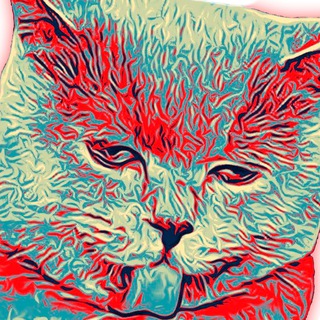 Логотип телеграм канала @katicide — Котицыд