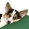Logo of telegram channel katrinchjournal — KatRinch journal