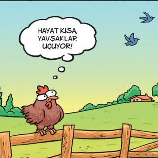 Telgraf kanalının logosu katurkatur — Katurkatur