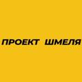 Logo saluran telegram katyakonosovaxag — Проект Шмеля - Катя Конасова