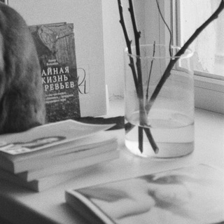 Логотип телеграм канала @katyaprimiknigi — катя прим и книги