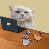 Logo of telegram channel katzenote — 캇즈의 크립토 노트📝☕️