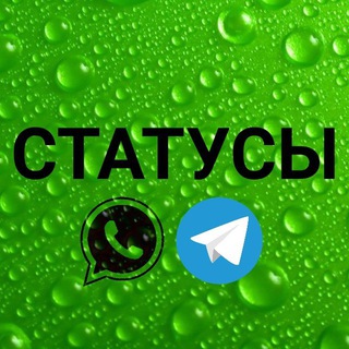 Telegram channel Статусы для ватсап Ислам сторизы 30 секунд телеграмм инстаграм whatsapp уатсап истории короткие видео нарезки ин ща Аллах урок logo