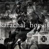 Логотип телеграм канала @kavkaz_horses_09 — kavkaz_horse_