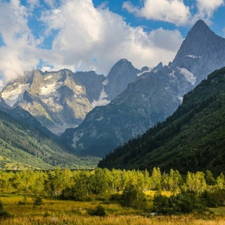 Логотип телеграм канала @kavkazmusics — Кавказские песни