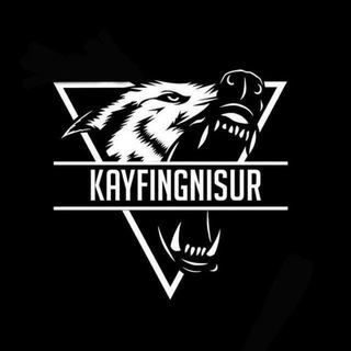 Telegram kanalining logotibi kayfingnisur24 — Kayfingnisurgin 🎼