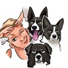 Логотип телеграм канала @kaynovsportdogs — Кинолог Дмитрий Кайнов