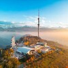 Telegram channel Kazakhstan Today logo