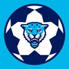 Логотип телеграм канала @kb_futsal — Лига по футзалу | Кронверкские барсы | ИТМО