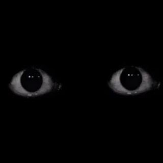 Логотип телеграм -каналу kbt_music — shuzzee