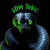 Logo of telegram channel kdm_toxic — 🐍 KDM | TOXIC 🐍