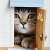 Логотип телеграм канала @kdom54 — Кошкин дом🐱🏠