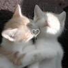 Логотип телеграм канала @keemsonyy — 𝐊𝐔𝐌-𝐂𝐎𝐇𝐘(Ким-Сону)