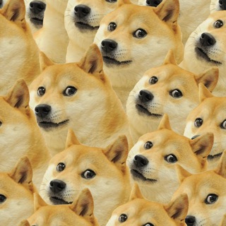 Логотип телеграм канала @kekfabrique — СМЕНЫЕ ВИДЕО | ПРИКОЛЫ | ЮМОР