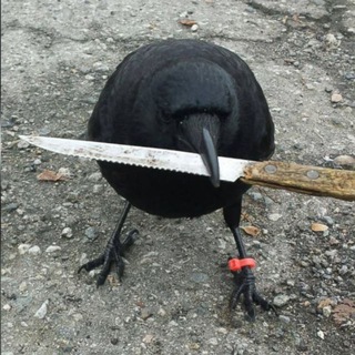 Логотип телеграм канала @kekstarter — 🗡 найф·бутик «поножовщина»