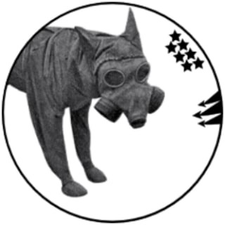 Логотип телеграм канала @keltto — Колтушский котёл