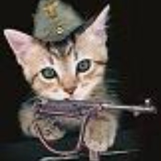Логотип телеграм канала @kenigtiger_rss — Пишет Бойцовый кот Мурз (kenigtiger)