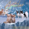 Логотип телеграм канала @kennel_arctilar — Питомник ARCTILAR