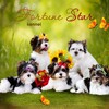 Логотип телеграм канала @kennelfortunestar — Мальтипу, Бивер, Тедди-Пудель🐩