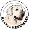 Логотип телеграм канала @kennelrenessans — КЛУБ РЕНЕССАНС