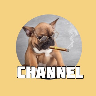 Логотип телеграм канала @kentmon_channel — Канал KentMon