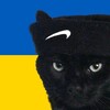 Логотип телеграм -каналу kepski_kruzhki — КЕПСЬКІ КРУЖКИ🤡