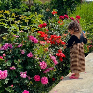 لوگوی کانال تلگرام kerim_t_a — :" ستوريات ،🤍🌷