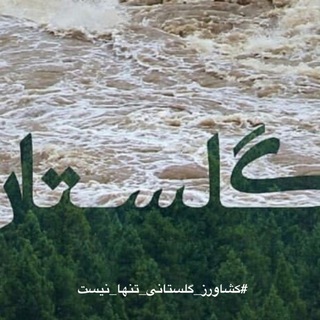 لوگوی کانال تلگرام keshavarzgolestan — کمپین #کشاورز گلستانی تنها نیست