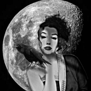 لوگوی کانال تلگرام ketab_moon — نویسنده|crazy