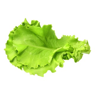 Логотип телеграм канала @ketowayoflife — ЗОЖем единым 🥬
