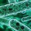 Логотип телеграм канала @key2dna — Тактическая биология