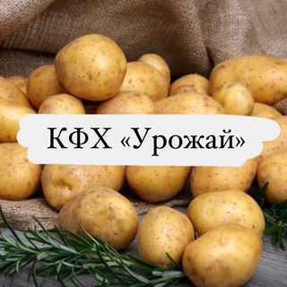 Логотип телеграм канала @kfh_urojai — КФХ «Урожай»