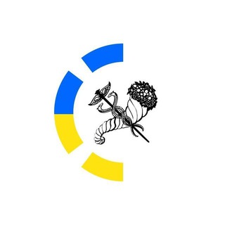 Логотип телеграм -каналу kh_mgs — Молодіжна рада при Харківському міському голові | Kharkiv Youth City Council
