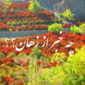 لوگوی کانال تلگرام khabarezohan — چه خبر از زهان؟